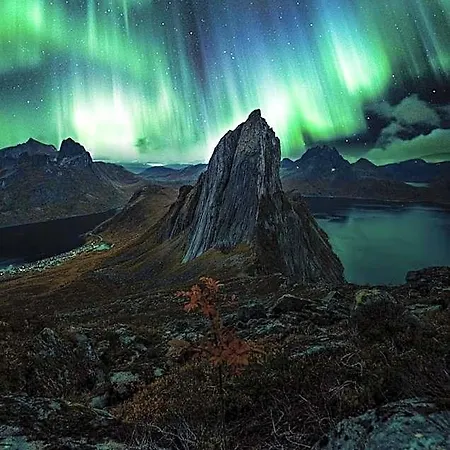 Polar Panorama *