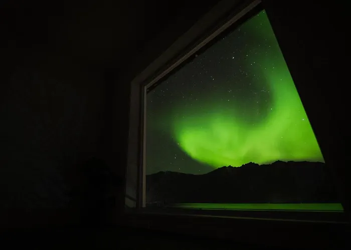 Polar Panorama