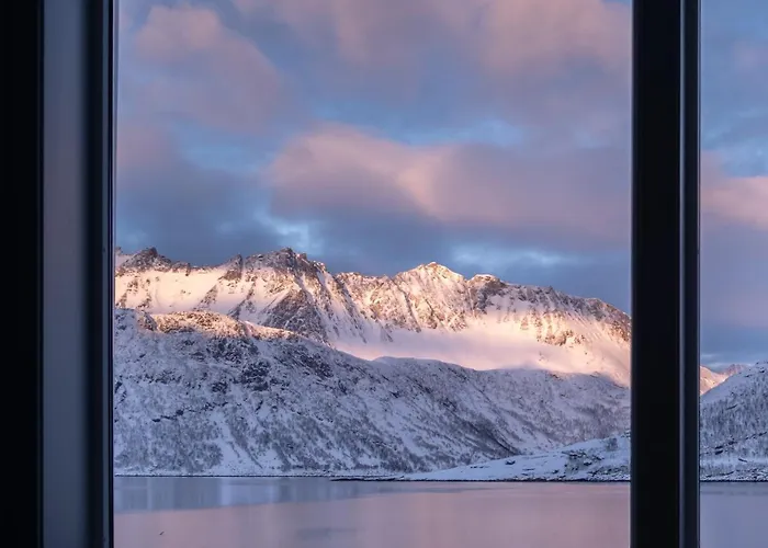 Polar Panorama *