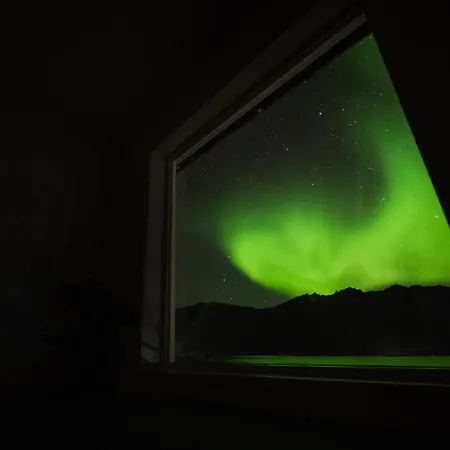 Polar Panorama